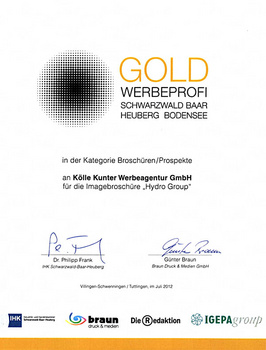 Gold advertising professional 2011 for the brochure "HydroGroup"