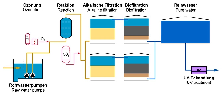 Steps in the ozone biofiltration process