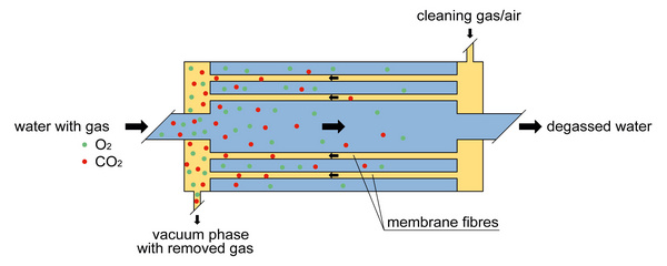 Functional principle of membran degassing