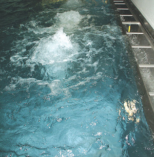 Therapeutical bath or hotel pool