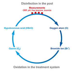 Disinfection in the pool